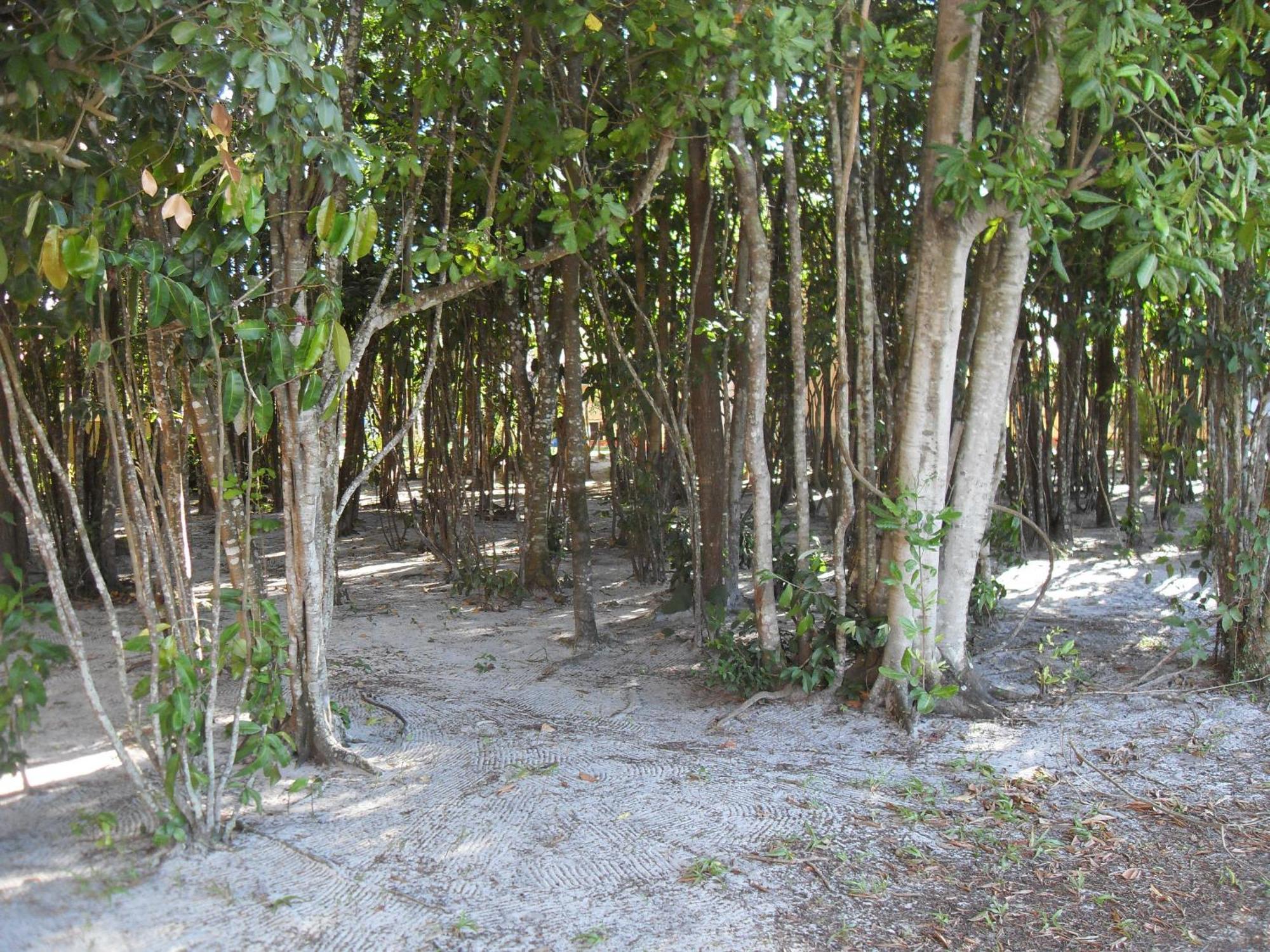 Hotel Pousada Caminho Da Praia 瓜拉派瑞 外观 照片
